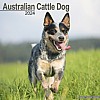 Australian Cattle Dog Calendar